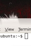 Ubuntu Linux